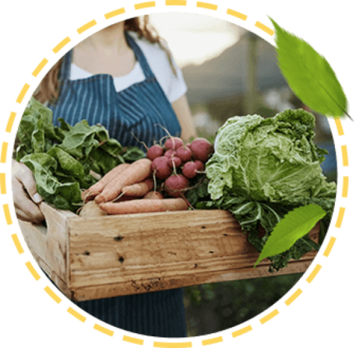 Photo femme tenant une cagette de légumes